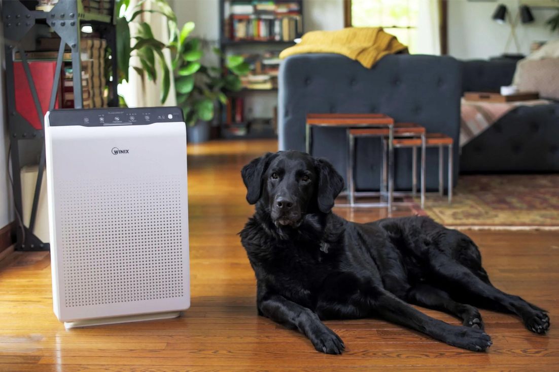 Air Purifiers for pets