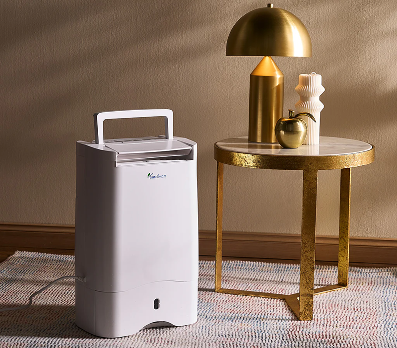 dehumidifier benefits