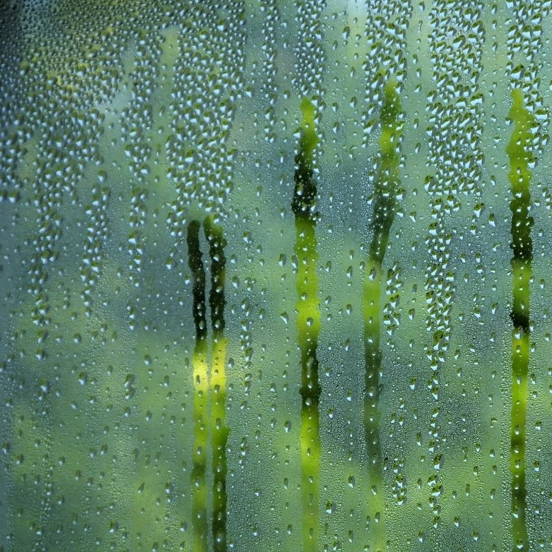 Best Dehumidifier For Australia 2024