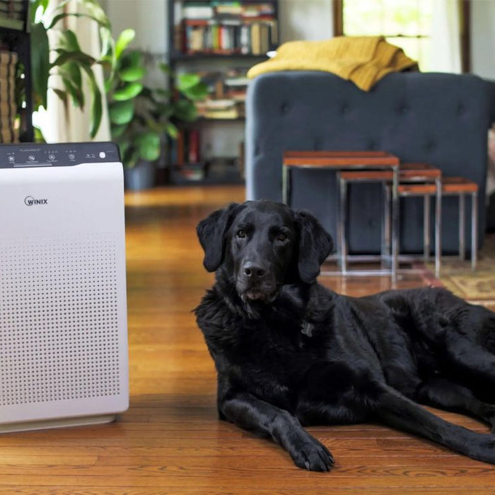 Air Purifiers for pets