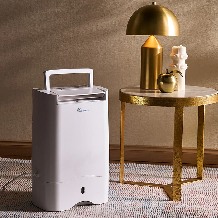 dehumidifier benefits