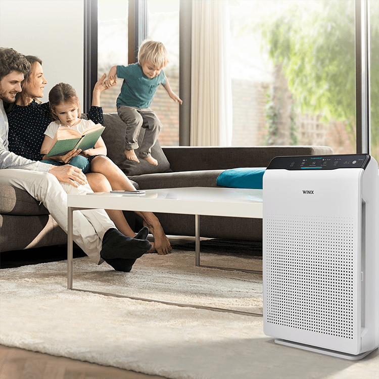 Air Purifiers for Allergies