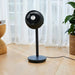 Black stand fan on a wooden floor with a plant and curtain in the background