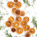 dried oranges made from BioChef Arizona Sol 6 Tray Food Dehydrator
