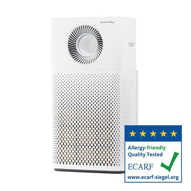 Coway storm air purifier