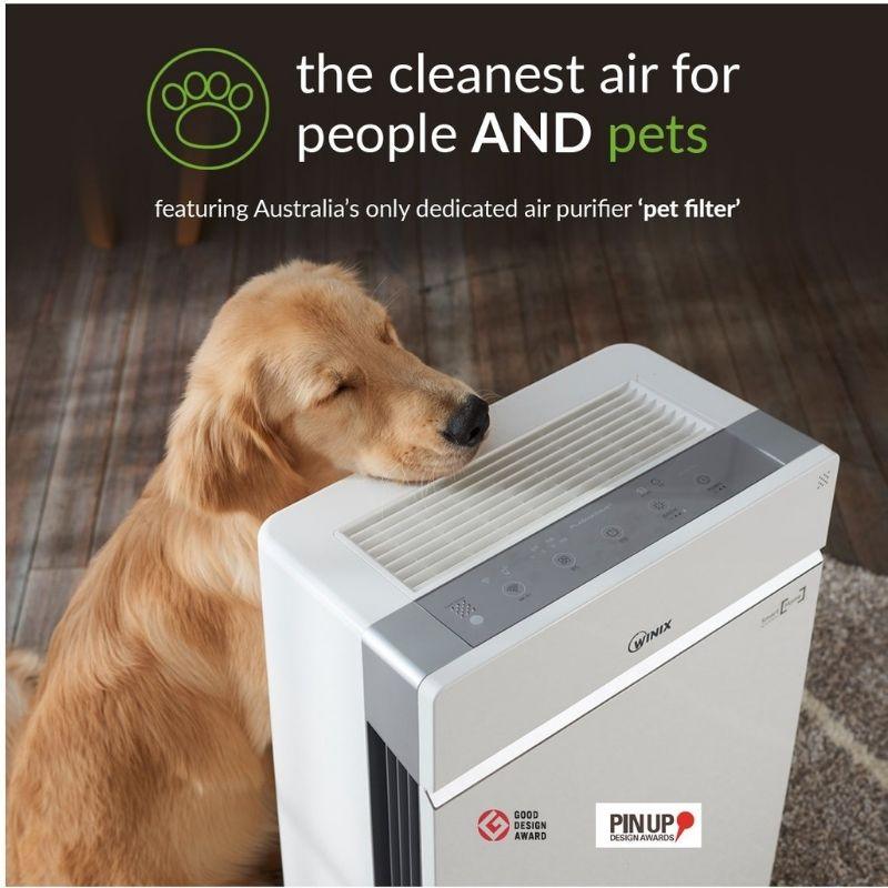 Winix zero plus pro 5 stage air purifier with dog